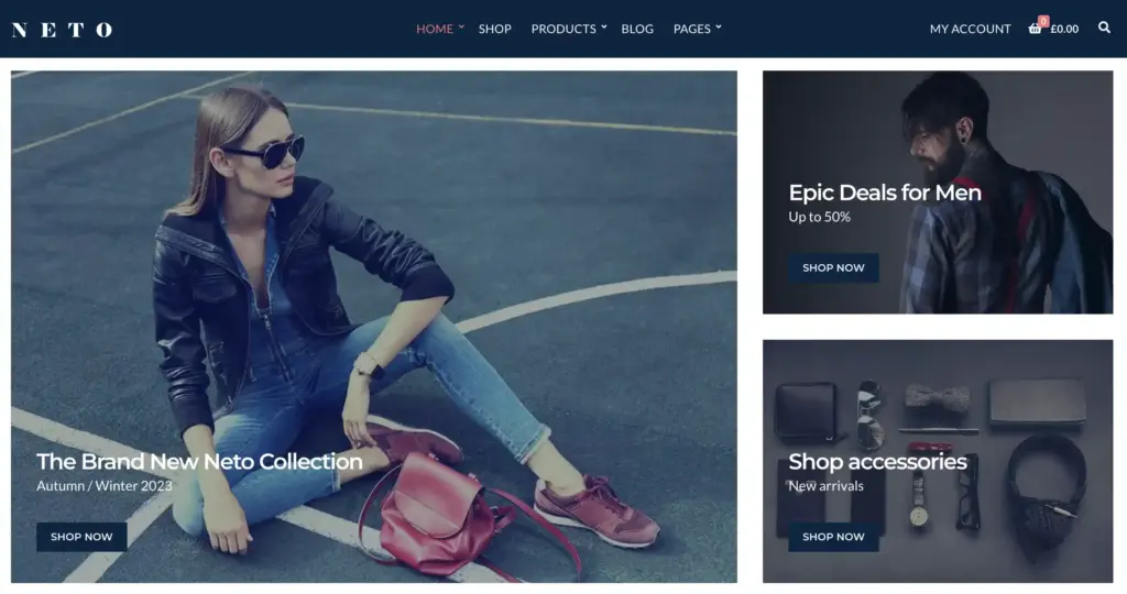 Neto wordpress theme for affiliate marketing